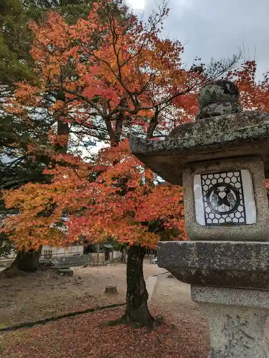 手向山八幡宮(奈良県)