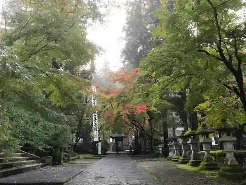 華厳寺の自然