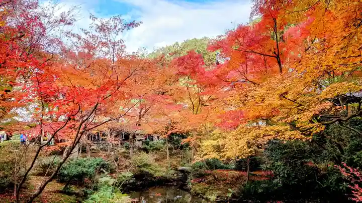 圓光寺(京都府)