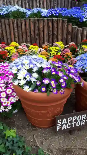 構内札幌神社の自然