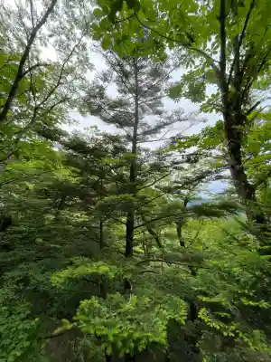 玉置神社(奈良県)