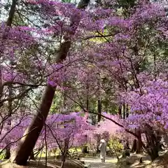 伊奈冨神社の自然