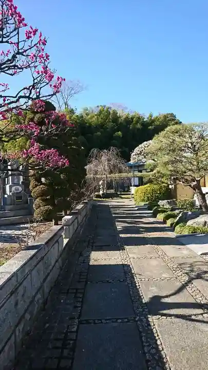 竺園寺のその他建物