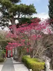 長谷寺の自然