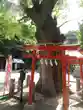 新田神社(東京都)