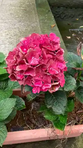 赤城神社の自然