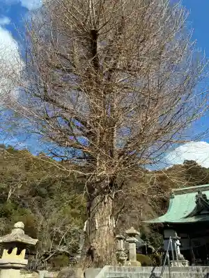 本立寺の{uncategorized: "未分類", other: "その他", undefined: "問題あり", building: "その他建物", grave: "お墓", sacred_gate: "鳥居", guardian: "狛犬", statue: "像", buddha: "仏像", history: "歴史", nature: "自然", garden: "庭園", animal: "動物", pagoda: "塔", temizu: "手水舎", mountain_gate: "山門・神門", sanctuary: "本殿・本堂", subordinate: "末社・摂社", art: "芸術", scenery: "景色", jizo: "地蔵", ema: "絵馬", goshuin: "御朱印", omikuji: "おみくじ", items: "授与品その他", amulet: "お守り", goshuincho: "御朱印帳", eats: "食事", festival: "お祭り", votive_dance: "神楽", shichigosan: "七五三参", wedding: "結婚式", experience: "体験その他", initially: "初詣", around: "周辺", anti_infection: "感染症対策"}