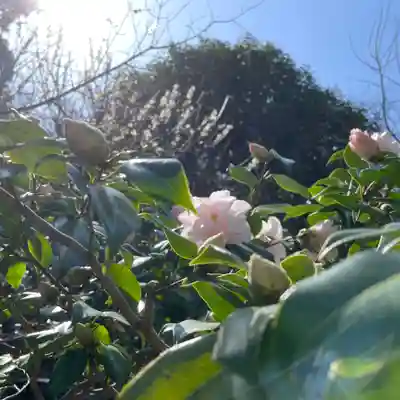 光則寺(神奈川県)