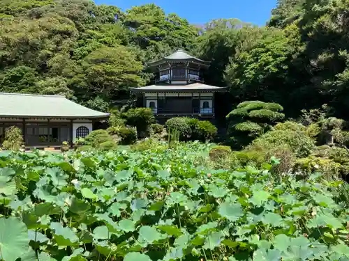 光明寺(神奈川県)