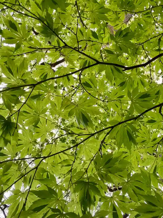 桂春院(京都府)
