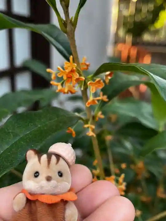時友神社(兵庫県)