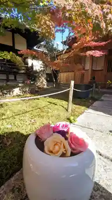 勝林寺(京都府)