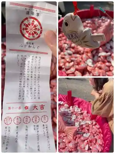 川越氷川神社(埼玉県)