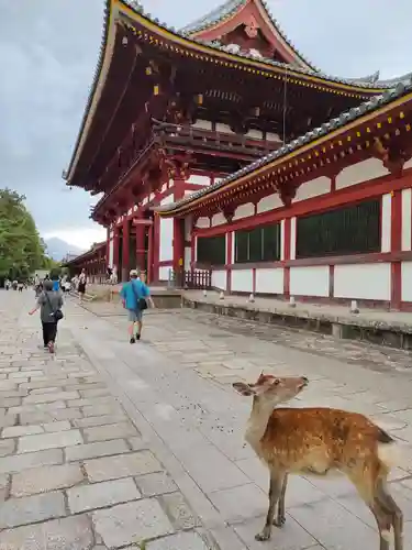 東大寺の山門・神門