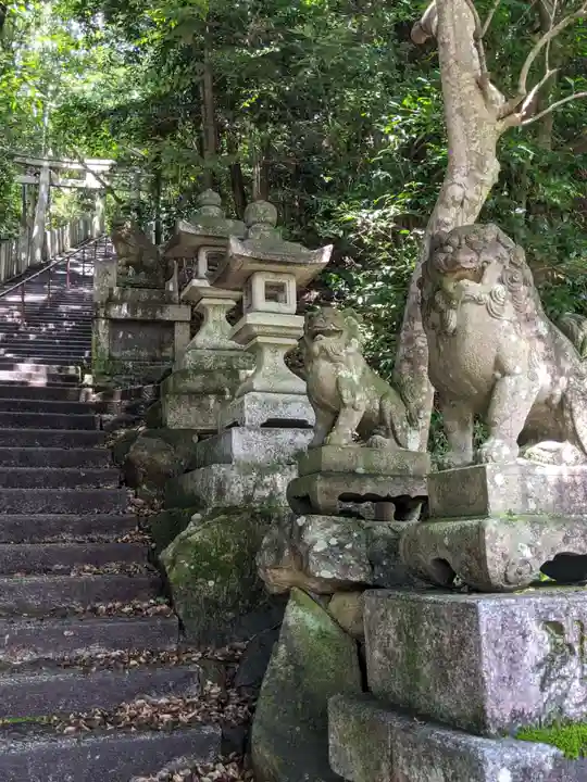 阿賀神社の狛犬