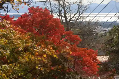 土津神社｜こどもと出世の神さまの景色