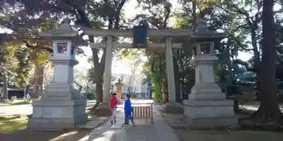 赤坂氷川神社の鳥居