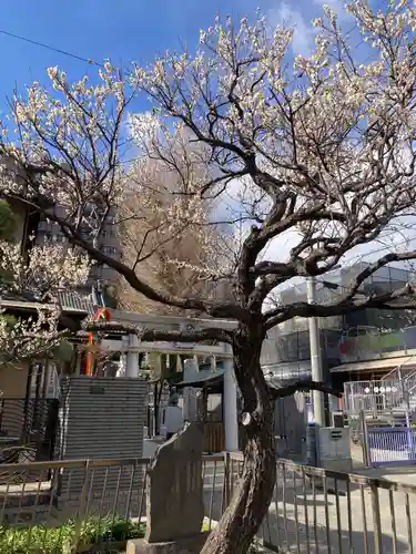杉田八幡神社（杉田八幡宮）(神奈川県)