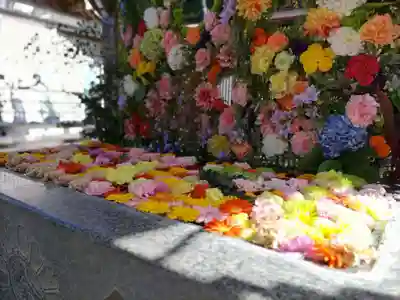 金蛇水神社(宮城県)