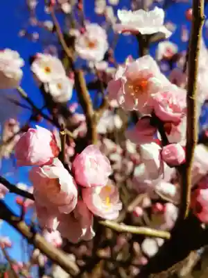 瑞円寺(東京都)