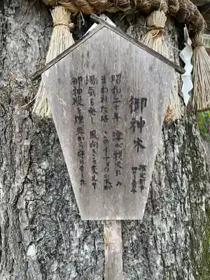 市杵島姫神社(三重県)