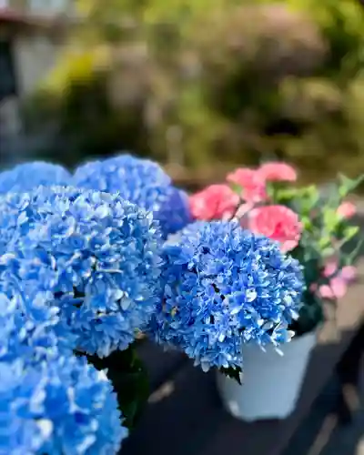 伊達神社(北海道)