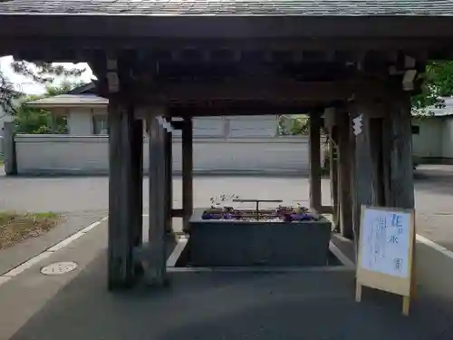 亀田八幡宮の手水舎