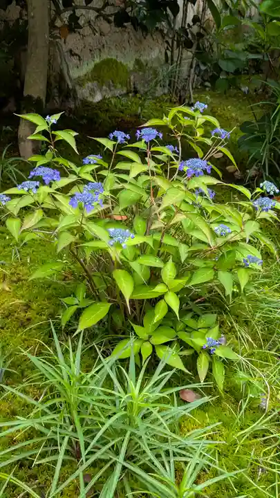 尊陽院(京都府)