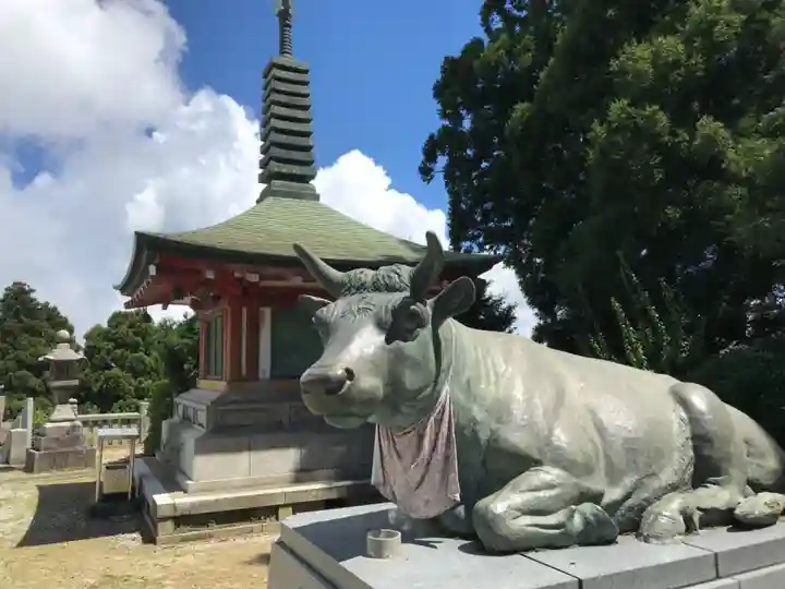 出石寺(愛媛県)