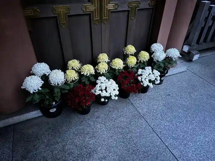 東京大神宮(東京都)