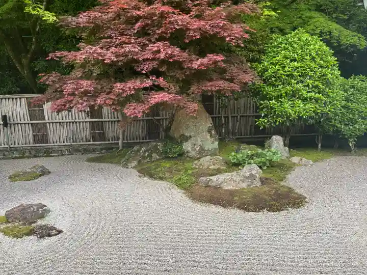 南禅寺の{uncategorized: "未分類", other: "その他", undefined: "問題あり", building: "その他建物", grave: "お墓", sacred_gate: "鳥居", guardian: "狛犬", statue: "像", buddha: "仏像", history: "歴史", nature: "自然", garden: "庭園", animal: "動物", pagoda: "塔", temizu: "手水舎", mountain_gate: "山門・神門", sanctuary: "本殿・本堂", subordinate: "末社・摂社", art: "芸術", scenery: "景色", jizo: "地蔵", ema: "絵馬", goshuin: "御朱印", omikuji: "おみくじ", items: "授与品その他", amulet: "お守り", goshuincho: "御朱印帳", eats: "食事", festival: "お祭り", votive_dance: "神楽", shichigosan: "七五三参", wedding: "結婚式", experience: "体験その他", initially: "初詣", around: "周辺", anti_infection: "感染症対策"}