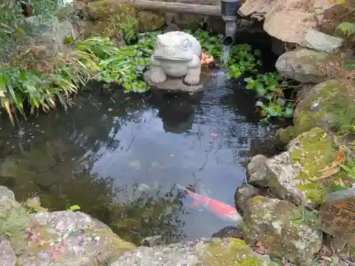 観音寺(神奈川県)