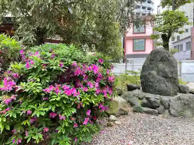 蒲田八幡神社(東京都)