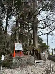 富士山東口本宮 冨士浅間神社(静岡県)