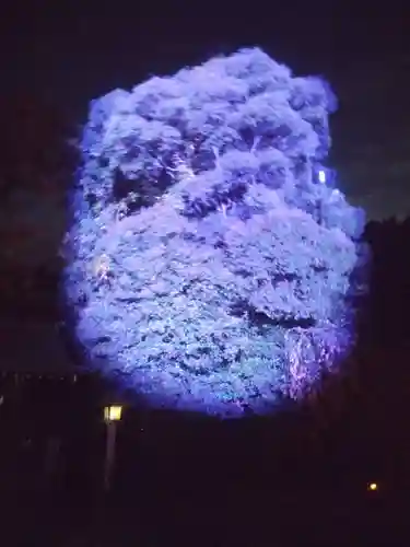 武蔵一宮氷川神社(埼玉県)