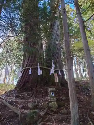 戸隠神社火之御子社(長野県)
