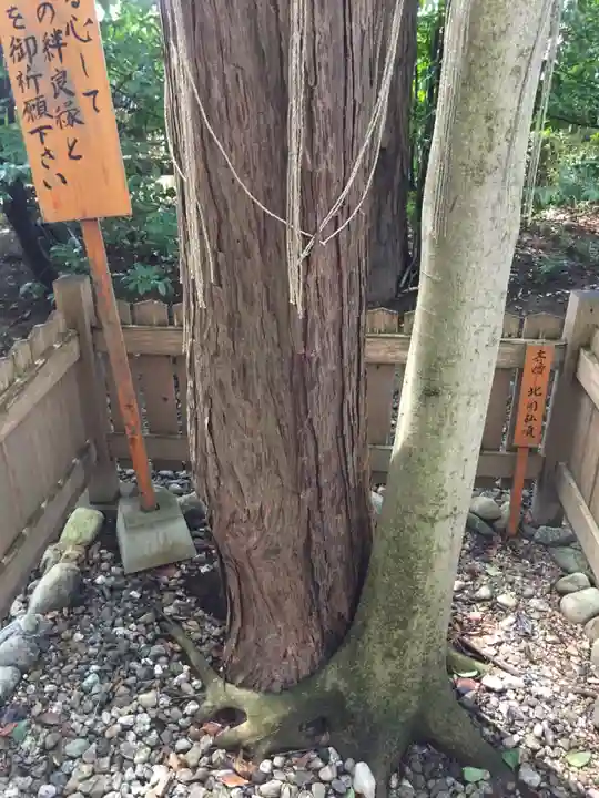 櫛田神社の自然