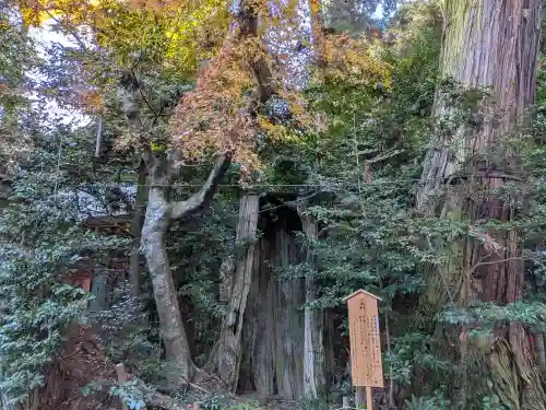 香取神宮(千葉県)