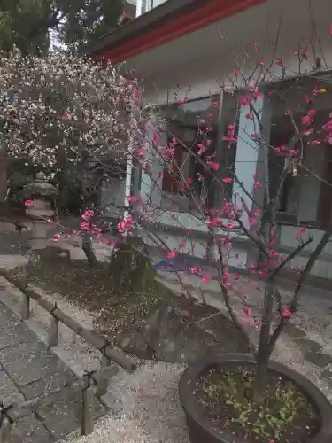 千葉天神の{uncategorized: "未分類", other: "その他", undefined: "問題あり", building: "その他建物", grave: "お墓", sacred_gate: "鳥居", guardian: "狛犬", statue: "像", buddha: "仏像", history: "歴史", nature: "自然", garden: "庭園", animal: "動物", pagoda: "塔", temizu: "手水舎", mountain_gate: "山門・神門", sanctuary: "本殿・本堂", subordinate: "末社・摂社", art: "芸術", scenery: "景色", jizo: "地蔵", ema: "絵馬", goshuin: "御朱印", omikuji: "おみくじ", items: "授与品その他", amulet: "お守り", goshuincho: "御朱印帳", eats: "食事", festival: "お祭り", votive_dance: "神楽", shichigosan: "七五三参", wedding: "結婚式", experience: "体験その他", initially: "初詣", around: "周辺", anti_infection: "感染症対策"}