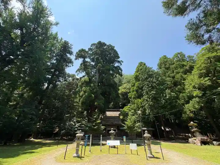 若狭姫神社(若狭彦神社下社)(福井県)