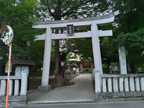 戸部杉山神社の鳥居