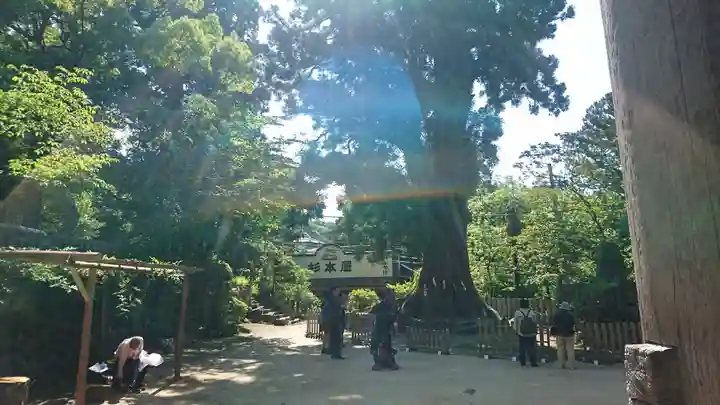 筑波山神社(茨城県)