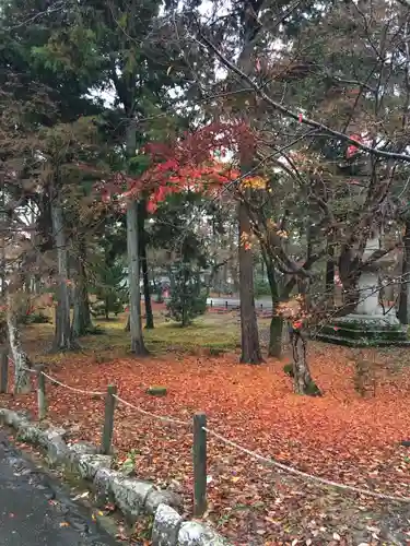 南禅寺(京都府)