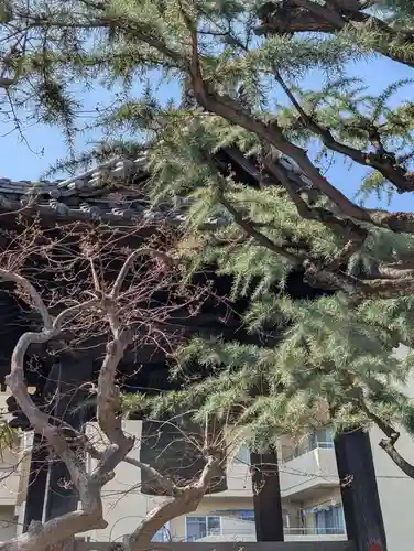 相応寺(神奈川県)