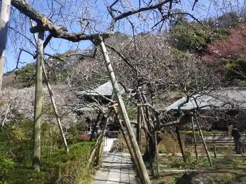 瑞泉寺の庭園