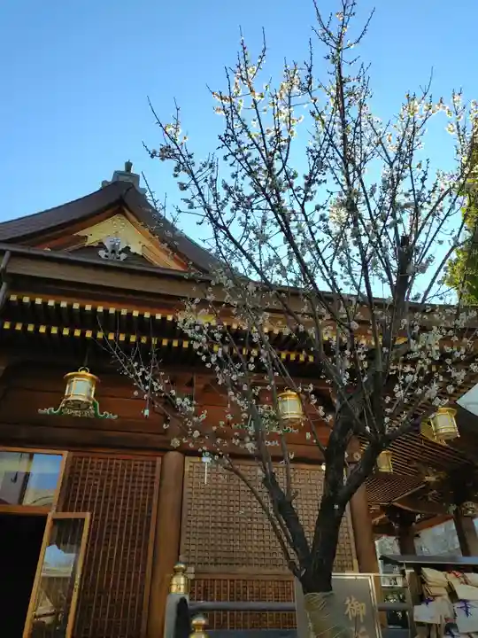 湯島天満宮(東京都)