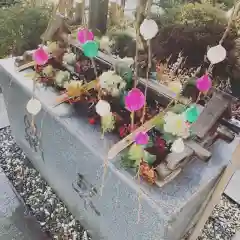 豊景神社の手水