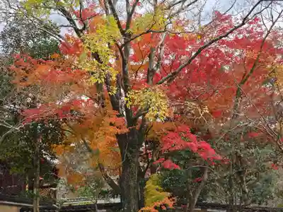 延命寺(大阪府)