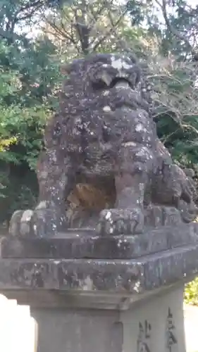 橘神社の狛犬