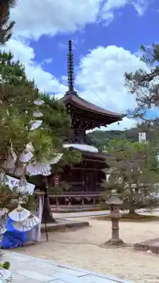 智恩寺(京都府)